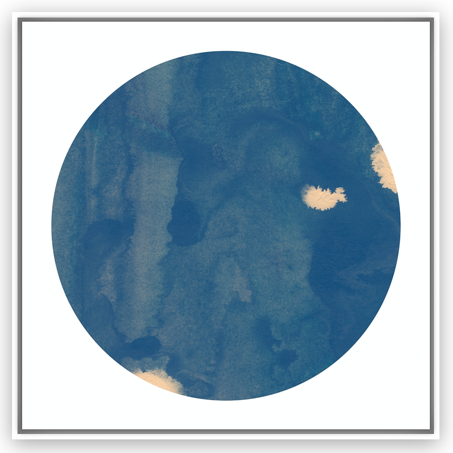 Blue Cosmos Framed Art